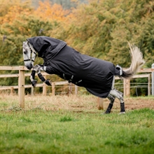 Horseware Amigo Super Bravo Plus 250 gram winterdeken